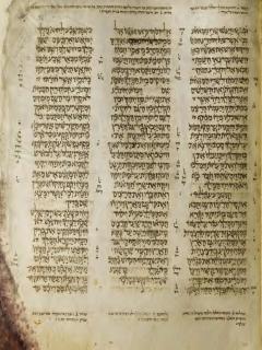 2 Raja-raja 11:8-12:8