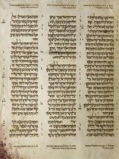 Yehezkiel 20:40-21:19