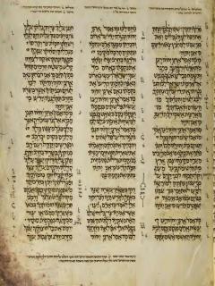 Yehezkiel 25:3-26:11