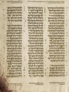 Yehezkiel 34:13-35:9