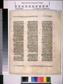 2 Raja-raja 9:19-10:1