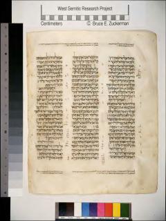 2 Samuel 18:26-19:12