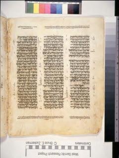 Bilangan 11:34-13:16