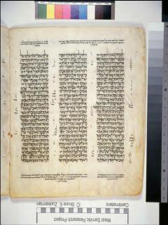 Kejadian 30:39-31:19