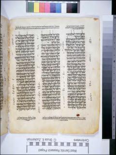 Kejadian 36:31-37:15