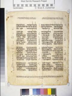 Mazmur 118:27-119:45