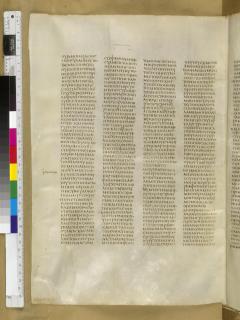 Kisah Para Rasul 7:55-8:25